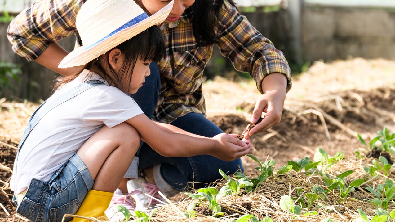 城市新生與治理新模式