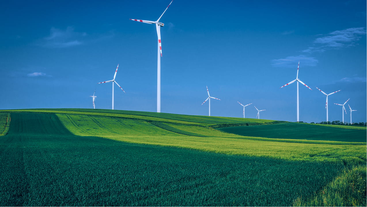 淨零深化與綠色競爭力