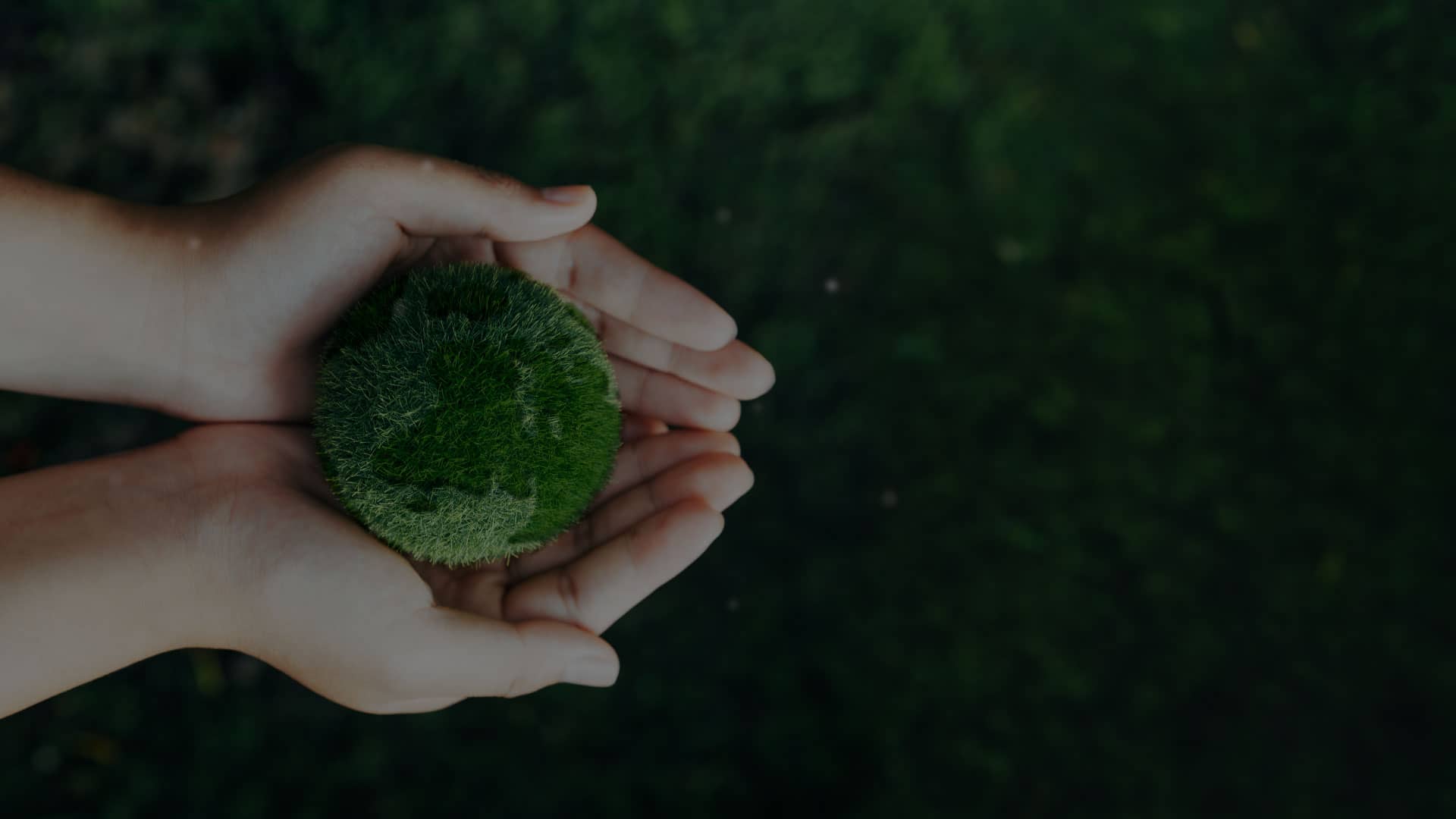 淨零深化與綠色競爭力